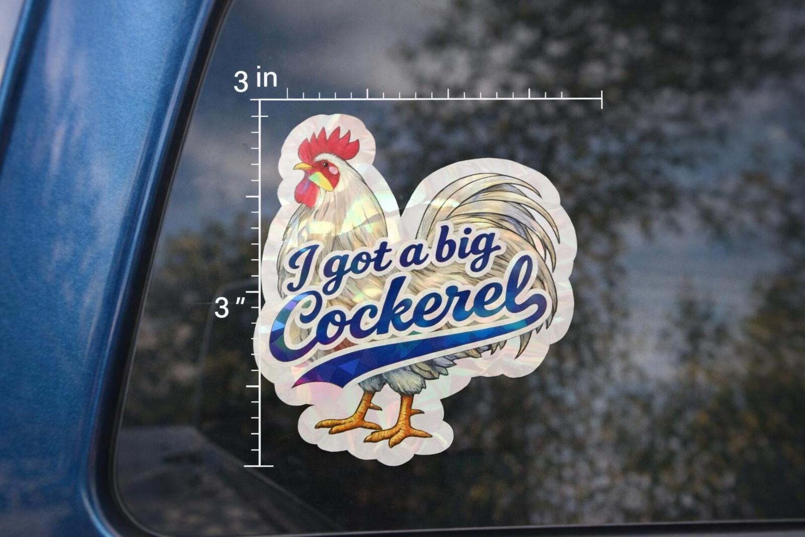 Funny Rooster Holographic Decal – “I Got a Big Cockerel” – view 2